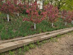 -元大都城垣遗址公园