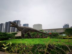 -陕西自然博物馆