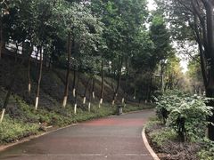 -百林公园-两江幸福广场