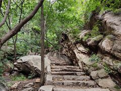 -大岭沟猕猴桃谷风景区