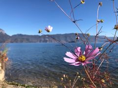 -丽江泸沽湖景区