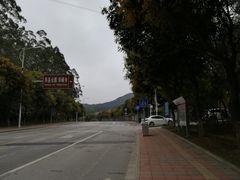 -黄埔油麻山森林公园