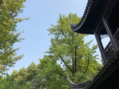 -花溪公园