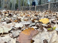 -森林公园(尖草坪区)