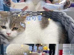 -怪兽屋·羊驼·猫咖·狗咖(俊华广场店)