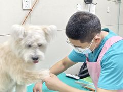 -北京观赏动物医院·24小时大型综合·猫专科·异宠专科