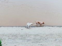 -浈阳坊旅游小镇
