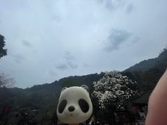 -青城山