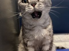 -平行世界·猫咖(首经贸店)