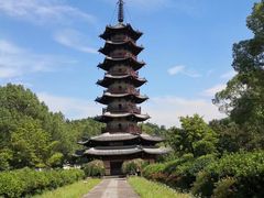 -大唐贡茶院