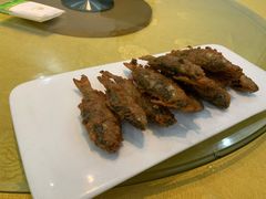 -小北江河鲜(新城店)