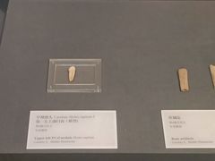 -北京周口店北京人遗址博物馆