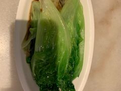 白灼生菜-金鼎轩(方庄天坛店)