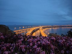 -星海湾跨海大桥