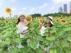 -光明小镇欢乐田园