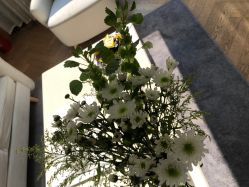 -HEYAN荷妍专业脱毛连锁机构