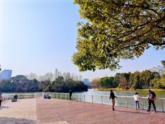 -新江湾城公园