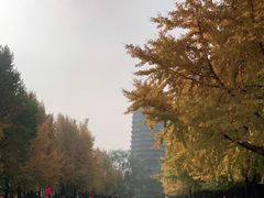 -玲珑塔公园