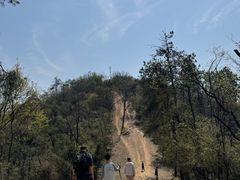 -青龙山国家森林公园
