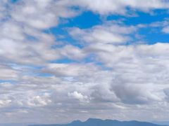 -长虫山生态公园风景林