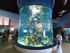 -福州罗源湾海洋世界旅游区