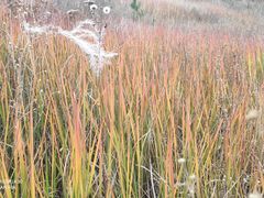 -锦屏山旅游度假区