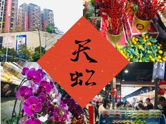 -坂田天虹