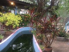 -Raya Father Restaurant