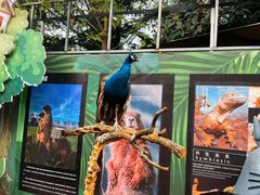 -陕西自然博物馆