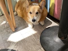 -小时光咖啡馆(北锣鼓巷店)
