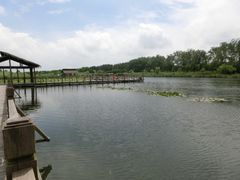 -溱湖国家湿地公园