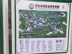 -野象谷景区