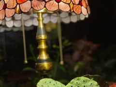 -Golden Lily河内巴黎法越料理餐厅(建国西路店)