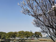 -月湖风景区