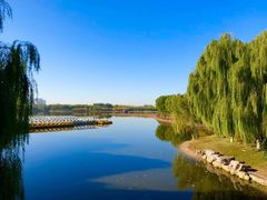 -大兴滨河森林公园