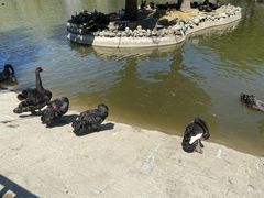 -新疆天山野生动物园