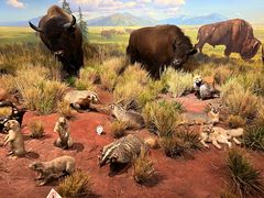 -陕西自然博物馆