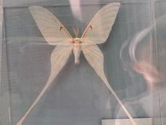 -杭州西湖博物馆总馆