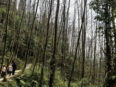 -太阳湾风景区