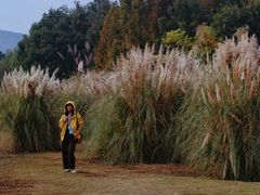 -长广溪湿地公园