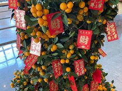 -重庆解放碑威斯汀酒店
