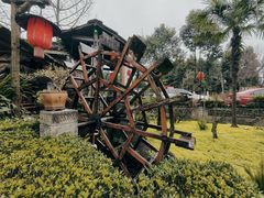 -青城甲(青城山店)