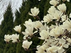 -黑石礁公园