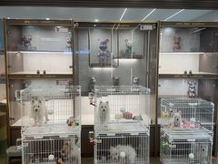 -翊宠yipet猫狗购宠庄园犬舍•猫舍