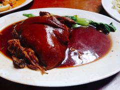 -绿光森林餐厅