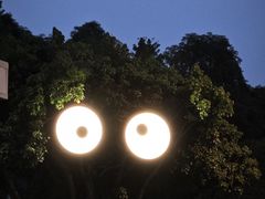 -杨柳河(地铁站)