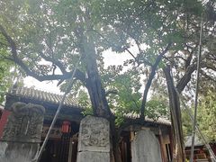 -南阳卧龙岗武侯祠