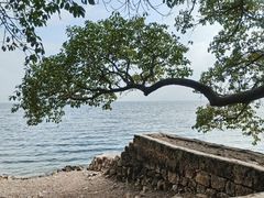 -抚仙湖禄充风景区