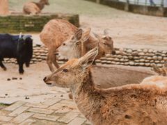 -武汉紫薇都市田园