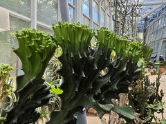 -郑州植物园